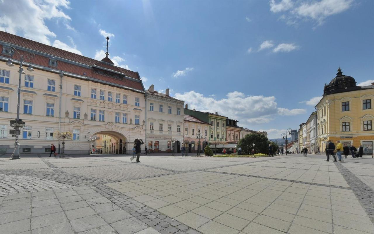 Big 75M2 Next To Opera Building In Direct Centrum, Air-Conditioned, Balcony, 24H Self Checking Banská Bystrica Esterno foto